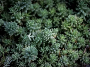 Edelstahl Trinkflasche 750ml Vakuumisoliert — 2