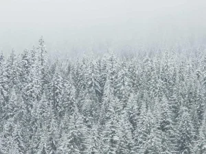 Gartenwerkzeug-Set 8-teilig mit Tasche — 1