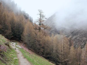 Cordless Drill Driver Set 20V 2 Batteries — 2