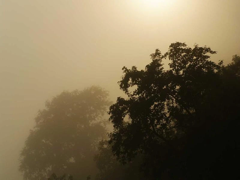 Yoga Mat Eco-Friendly Natural Rubber 5mm