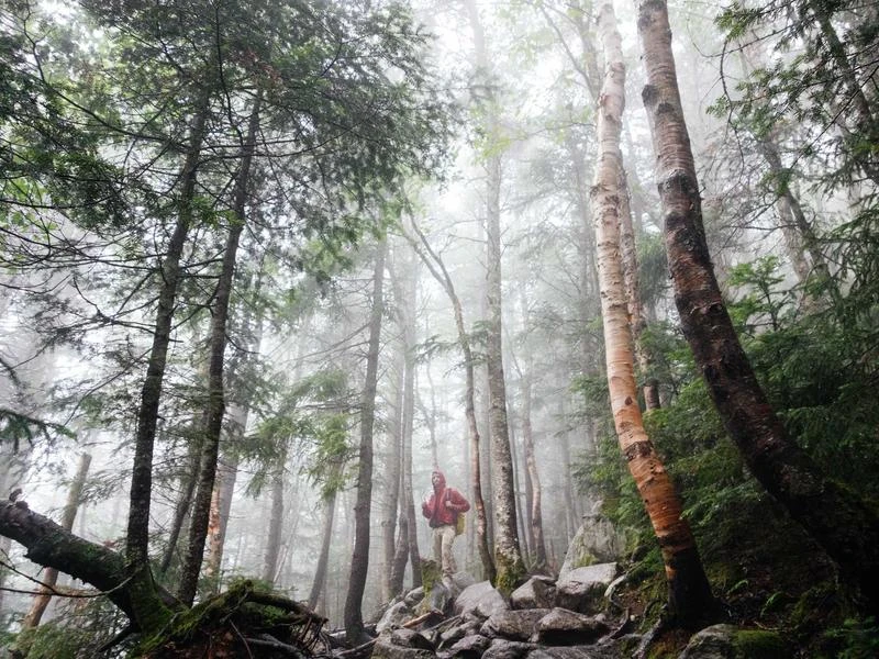 Premium Leather Wallet RFID Blocking — Brown