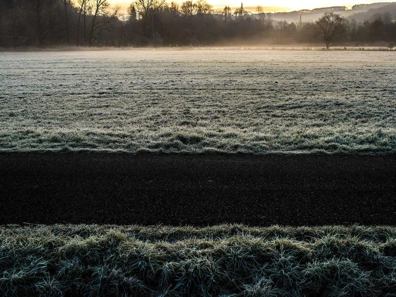 Garden Solar Lights Pack of 8 Stainless Steel