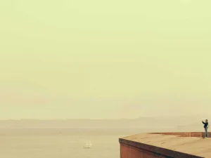 Professional Knife Sharpener 3-Stage Manual — 2