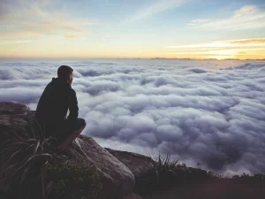 Sekator ogrodowy z wymiennymi ostrzami — 2