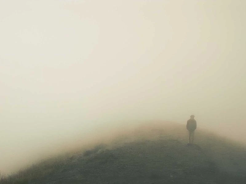 Sekator ogrodowy z wymiennymi ostrzami