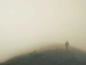 Sekator ogrodowy z wymiennymi ostrzami — 1