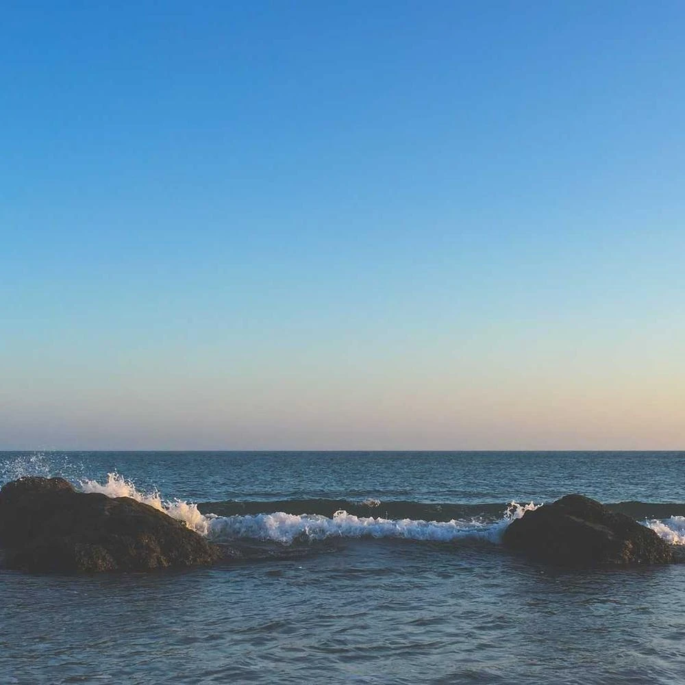 Nawóz BIOROL Uniplantum 1kg do roślin doniczkowych i tarasowych