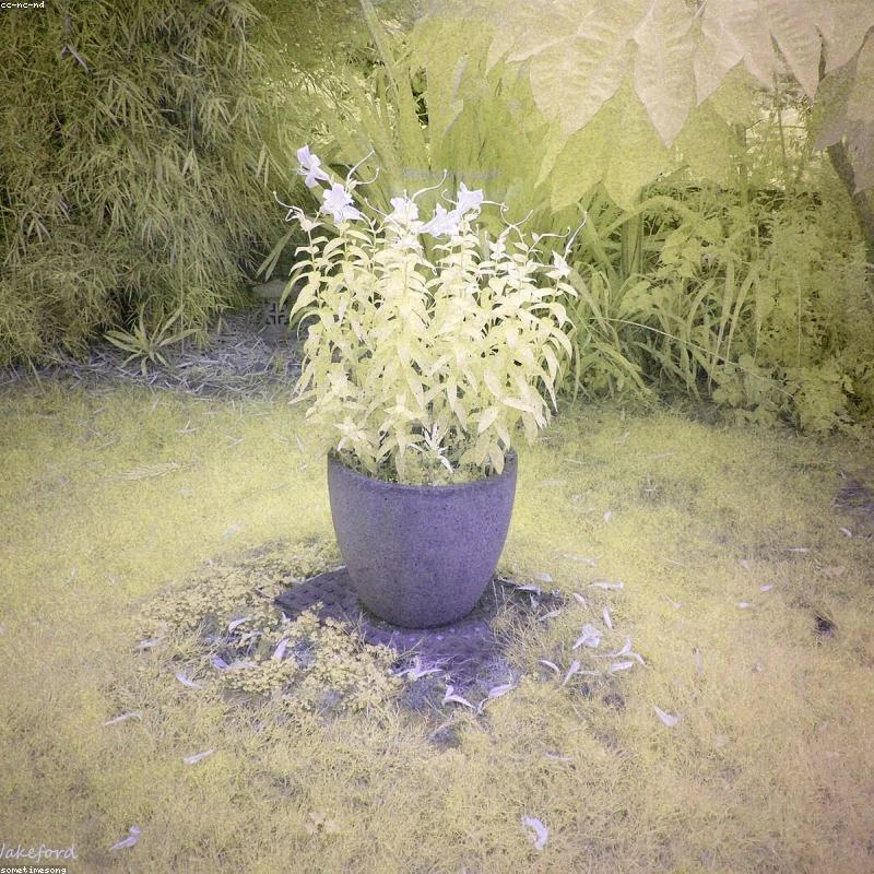 Donica plastikowa 40cm antracyt