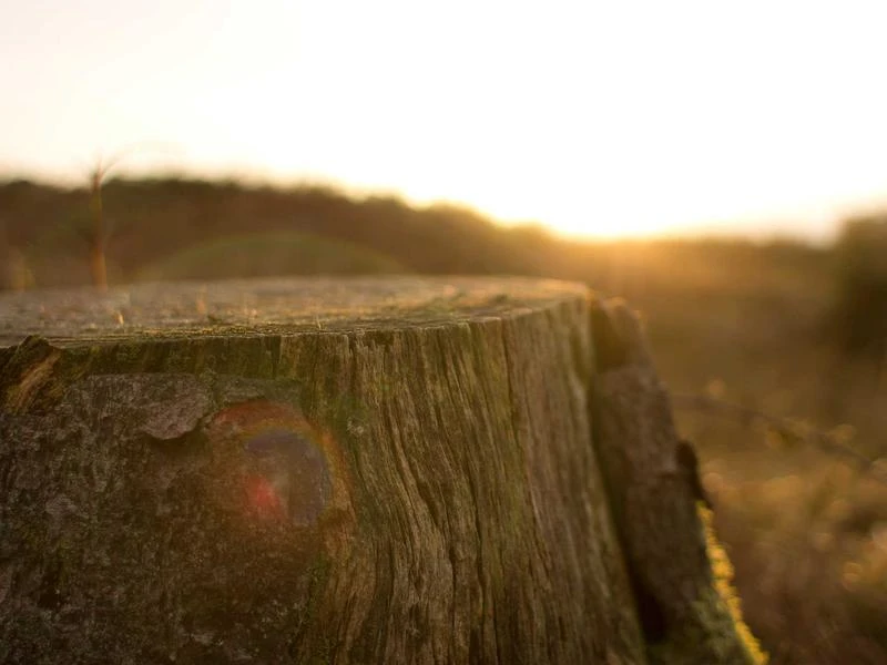 Plecak miejski wodoodporny 25L z portem USB