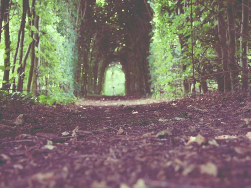 Wkrętarka akumulatorowa 18V 2Ah + walizka