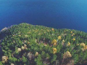 Organizer biurkowy bambusowy z ładowarką USB — 2