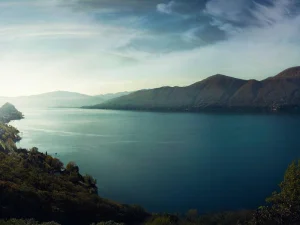 BIO Gesichtscreme mit Hyaluronsäure 50ml — 1