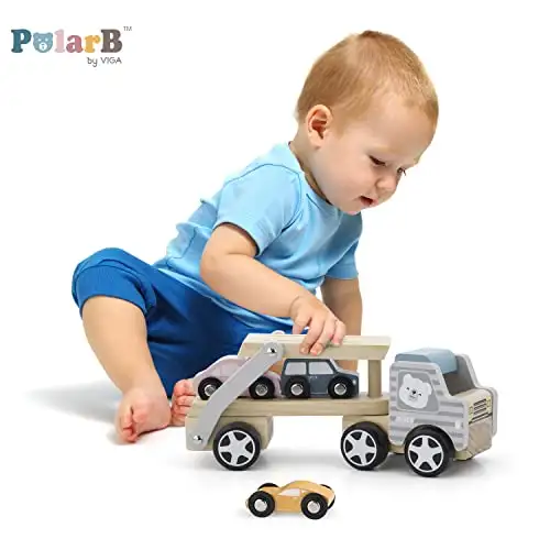 PolarB Autoträger — 20