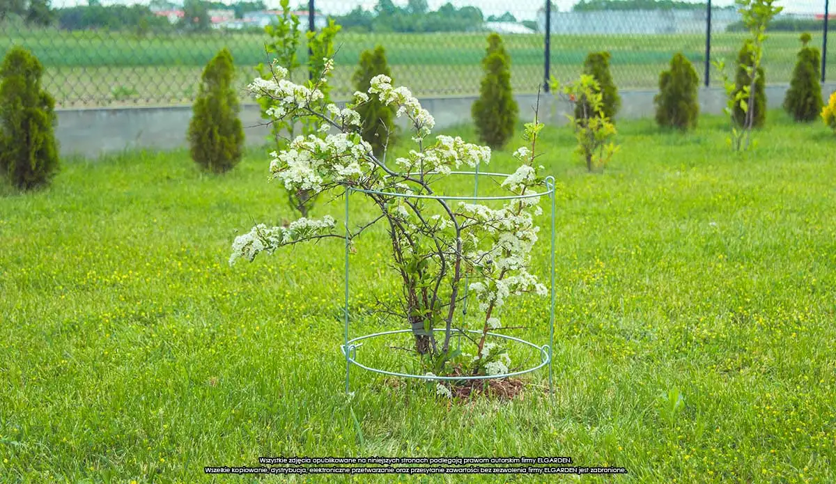 Podpora do roślin koła x2 "60" [2384], ELGarden — 2