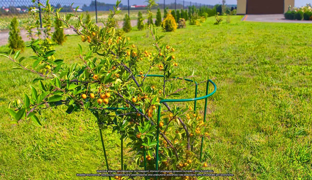 Podpora Kwiatowa S ''45x15''[2028], ELGarden — 5