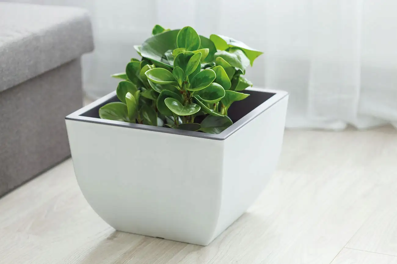 Doniczka okrągła dwukolorowa Muna 30 | Biały+beton — 8