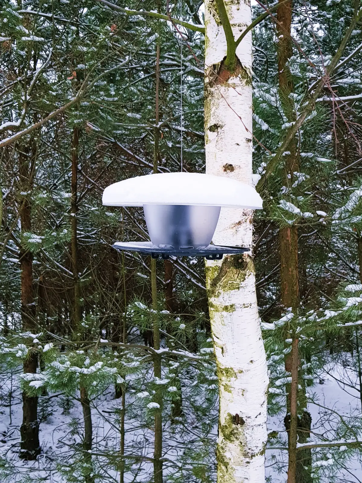 Karmnik dla ptaków Birdyfeed okrągły | Antracyt — 3