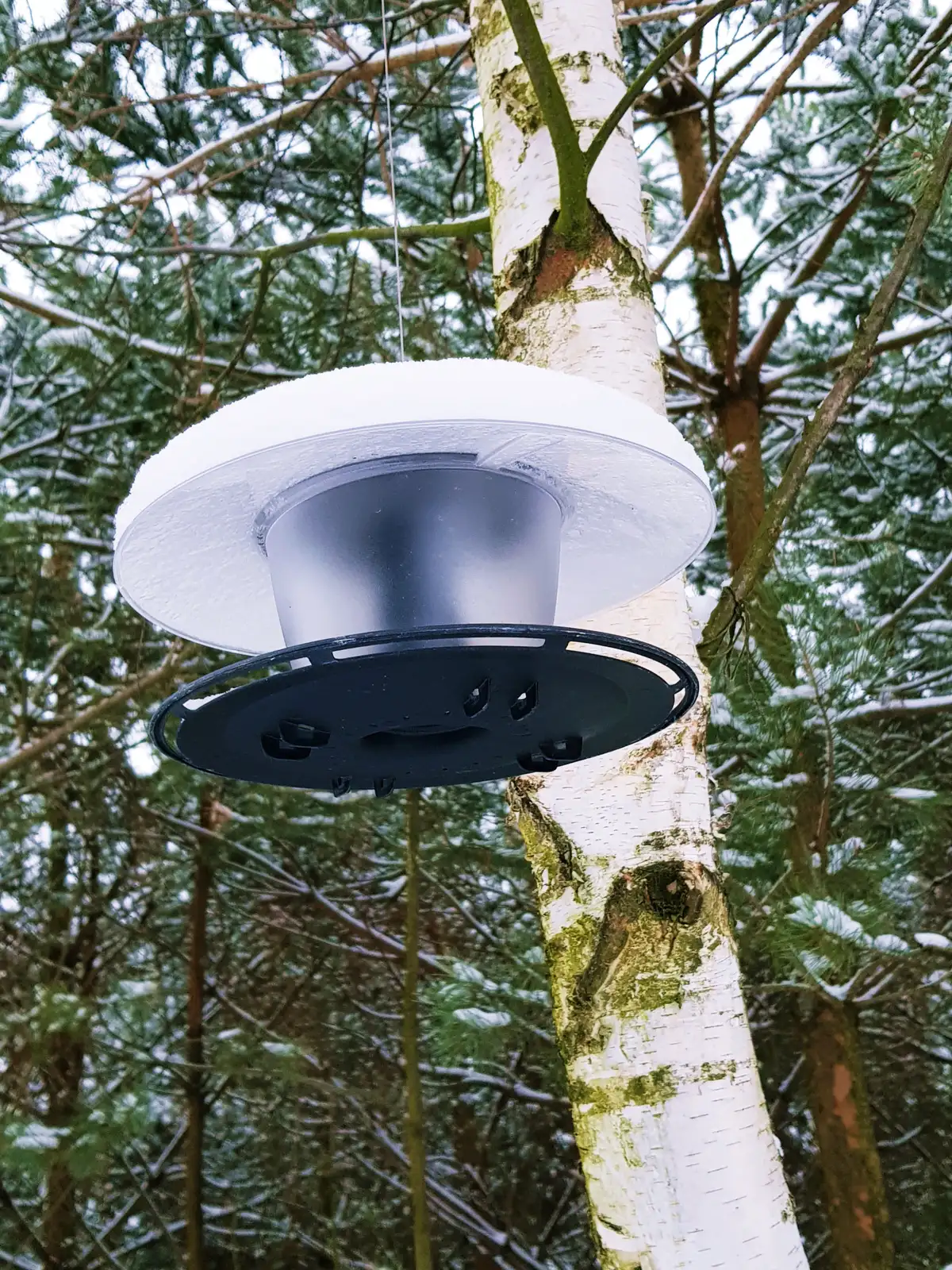 Karmnik dla ptaków Birdyfeed okrągły | Antracyt — 4