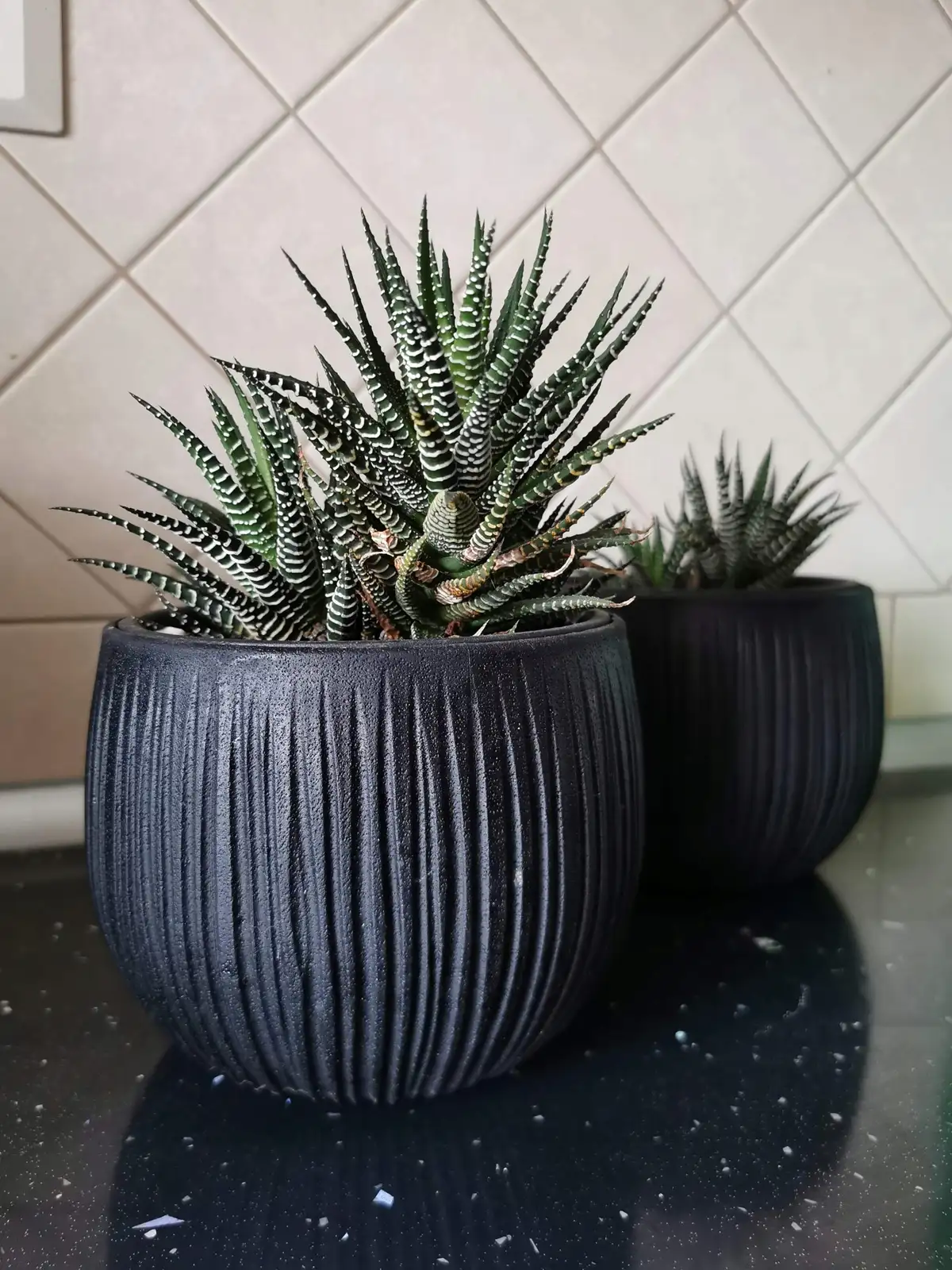 Doniczka kula Beton Bowl DKB240 z wkładem | Czarny beton — 12