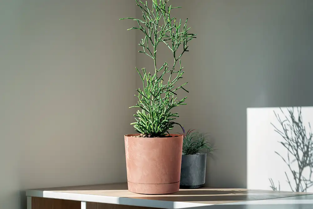 Doniczka okrągła Tubo P Beton Effect 240E z podstawką | Marengo — 3