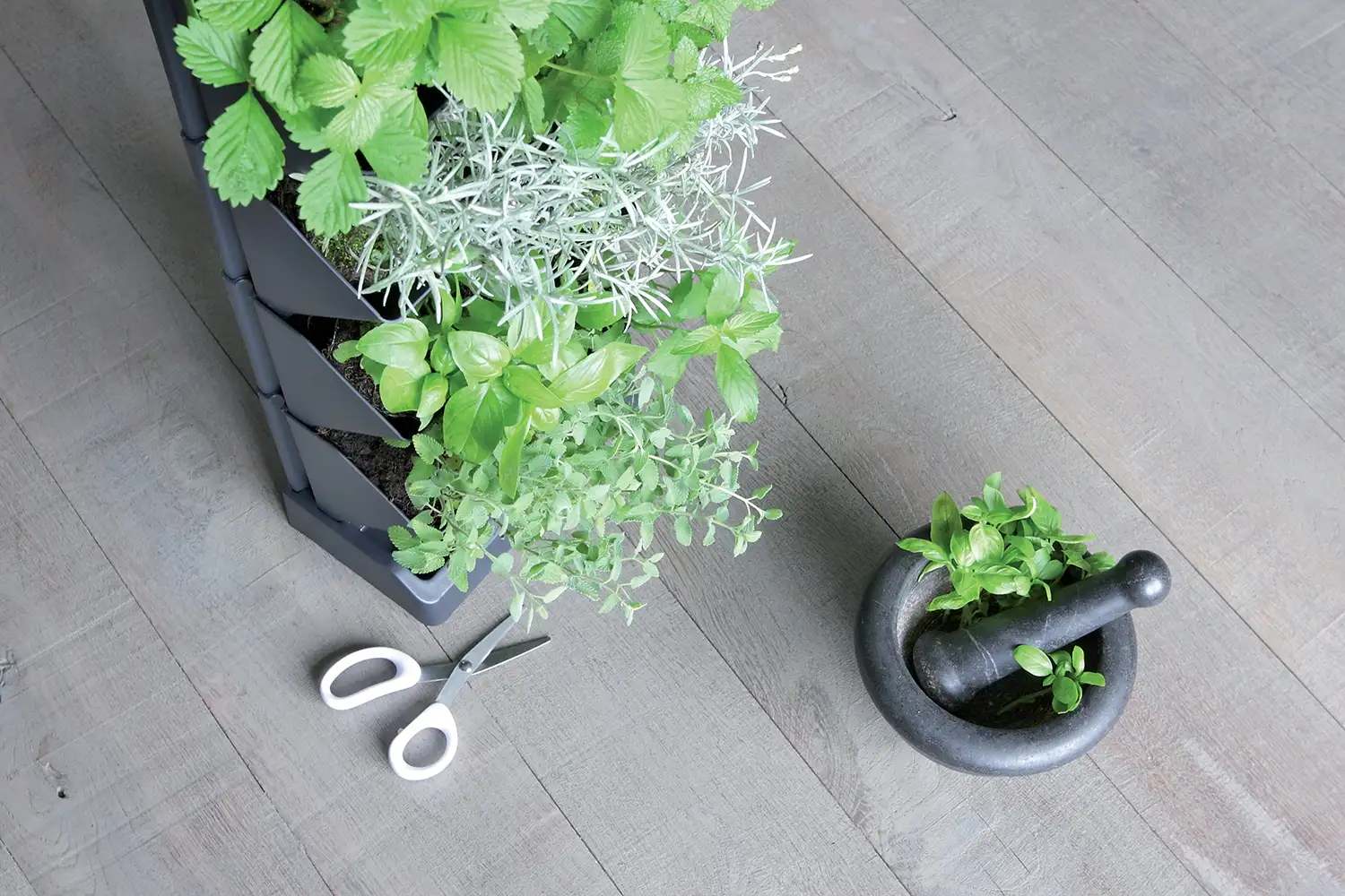Ogród wertykalny wiszący MINI CASCADE IO1W200 | Antracyt — 6
