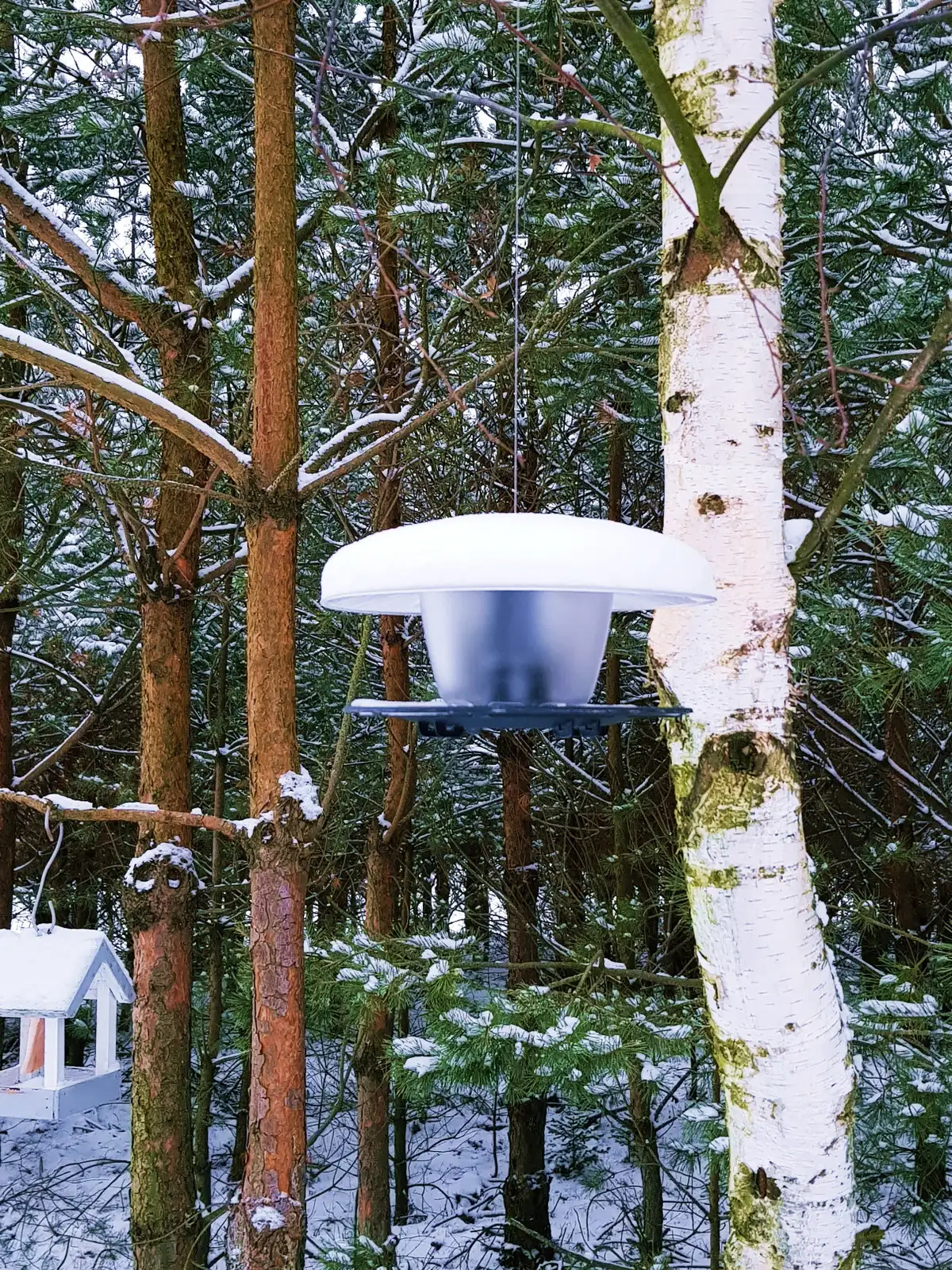 Karmnik dla ptaków Birdyfeed okrągły | Antracyt — 6