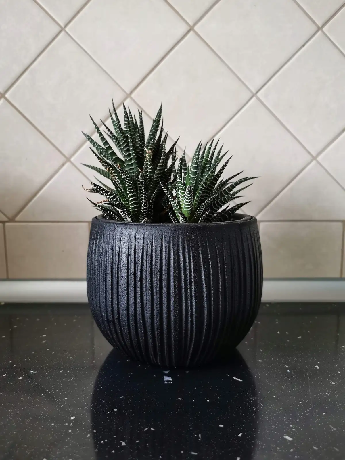 Doniczka kula Beton Bowl DKB240 z wkładem | Czarny beton — 13