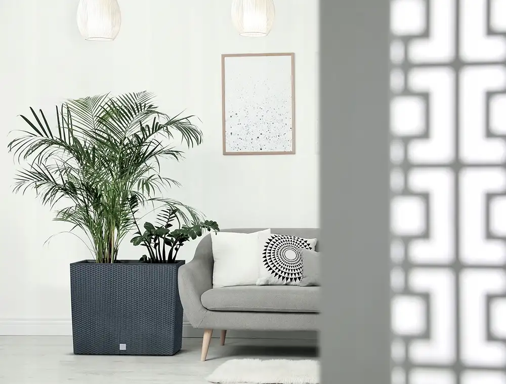 Doniczka podłużna, wysoka RATO Case DRC600T | Umbra — 4