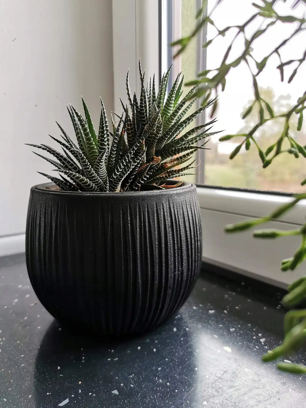 Doniczka kula Beton Bowl DKB240 z wkładem | Czarny beton — 15