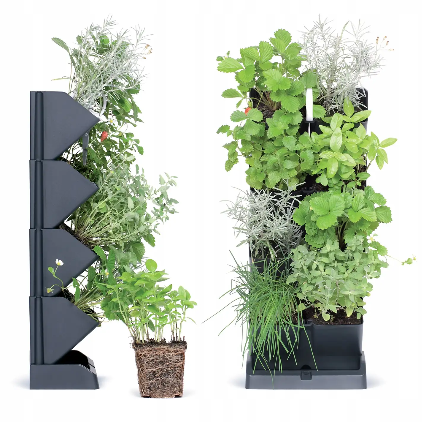 Ogród wertykalny wiszący MINI CASCADE IO1W200 | Antracyt — 7