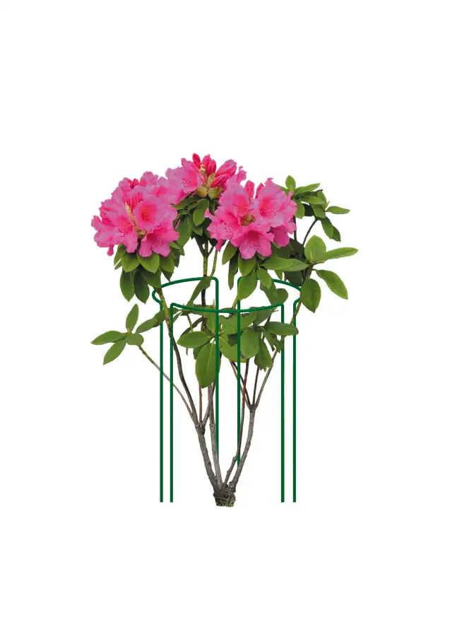 Podpora Kwiatowa L ''75x25'' [2030] , ELGarden — 3