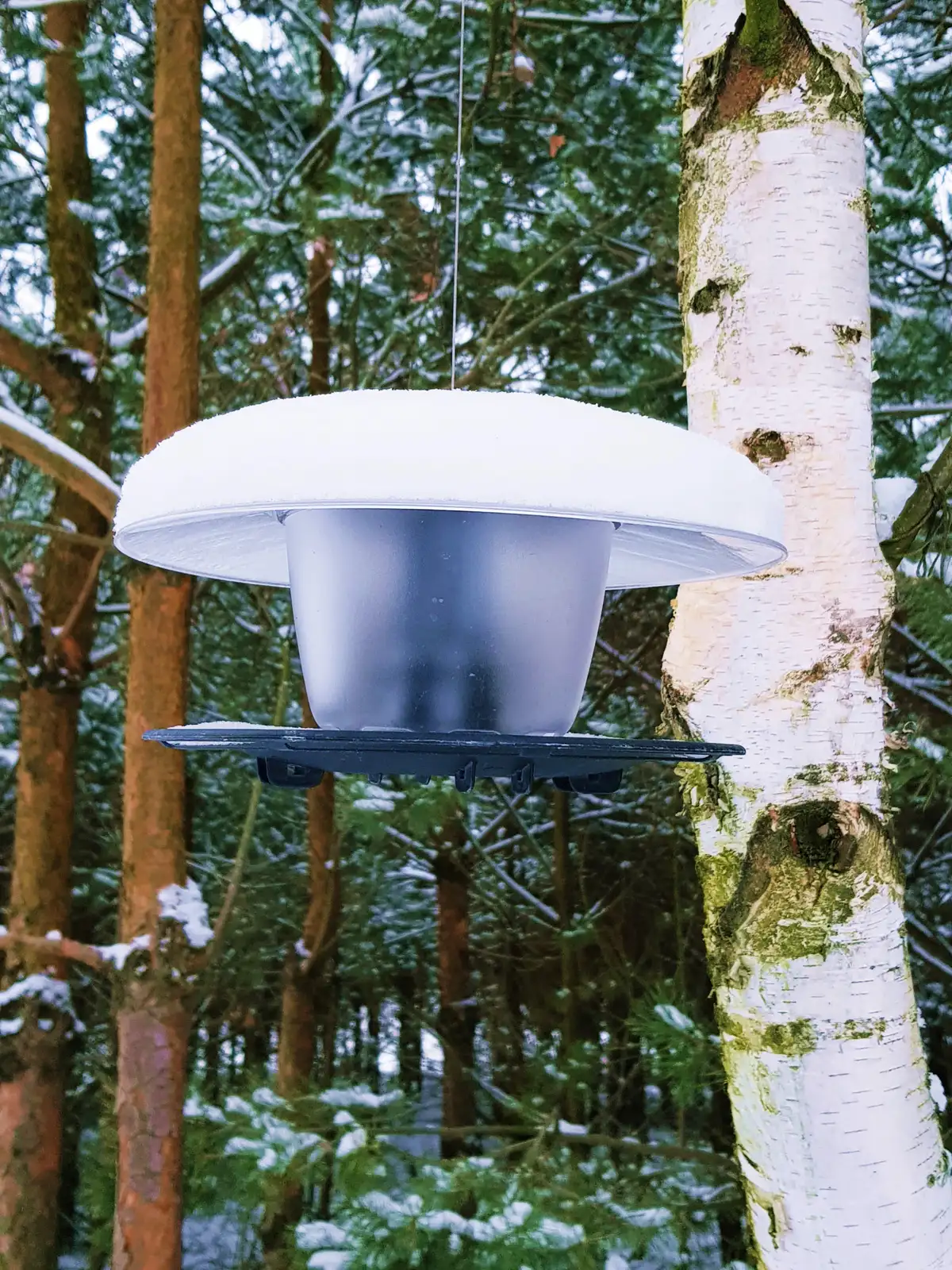 Karmnik dla ptaków Birdyfeed okrągły | Antracyt — 7