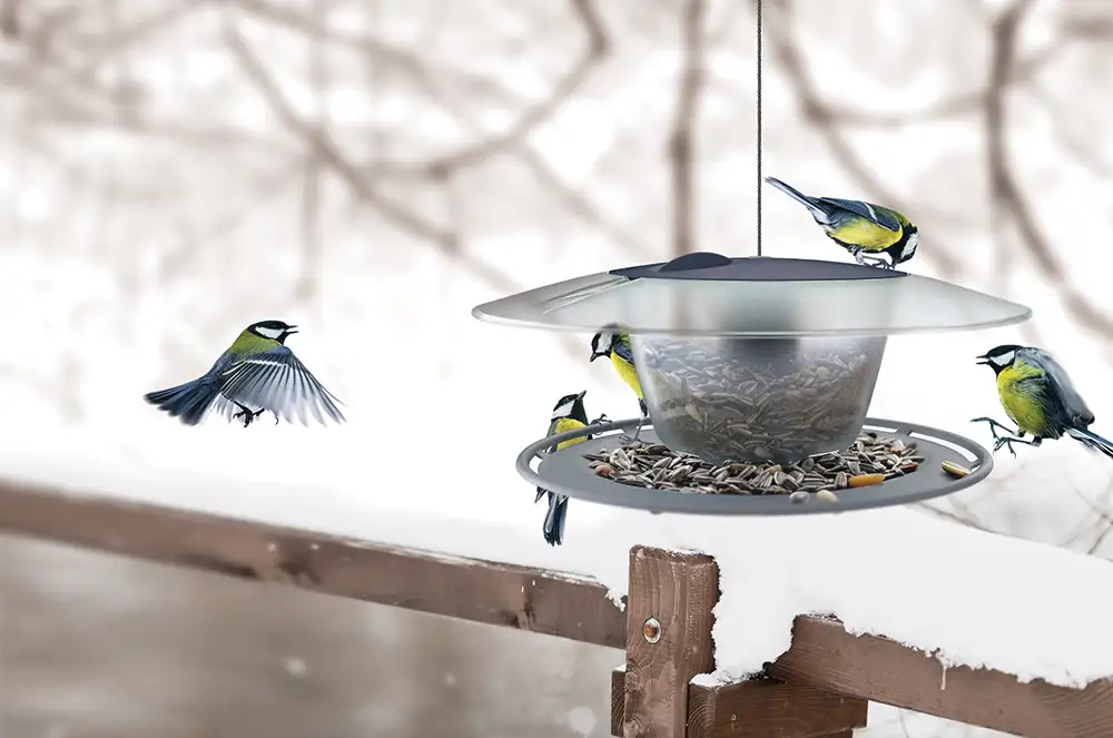 Karmnik dla ptaków Birdyfeed okrągły | Antracyt — 2