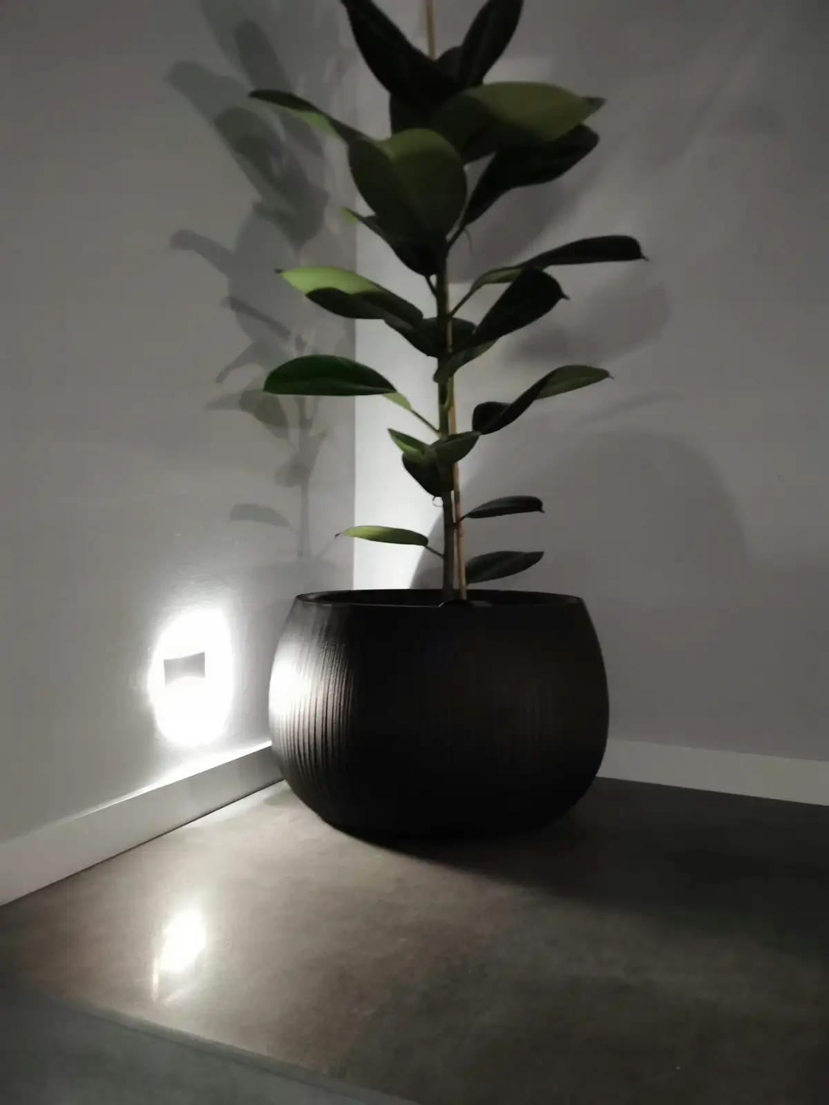 Doniczka kula Beton Bowl DKB290 z wkładem | Beton — 12